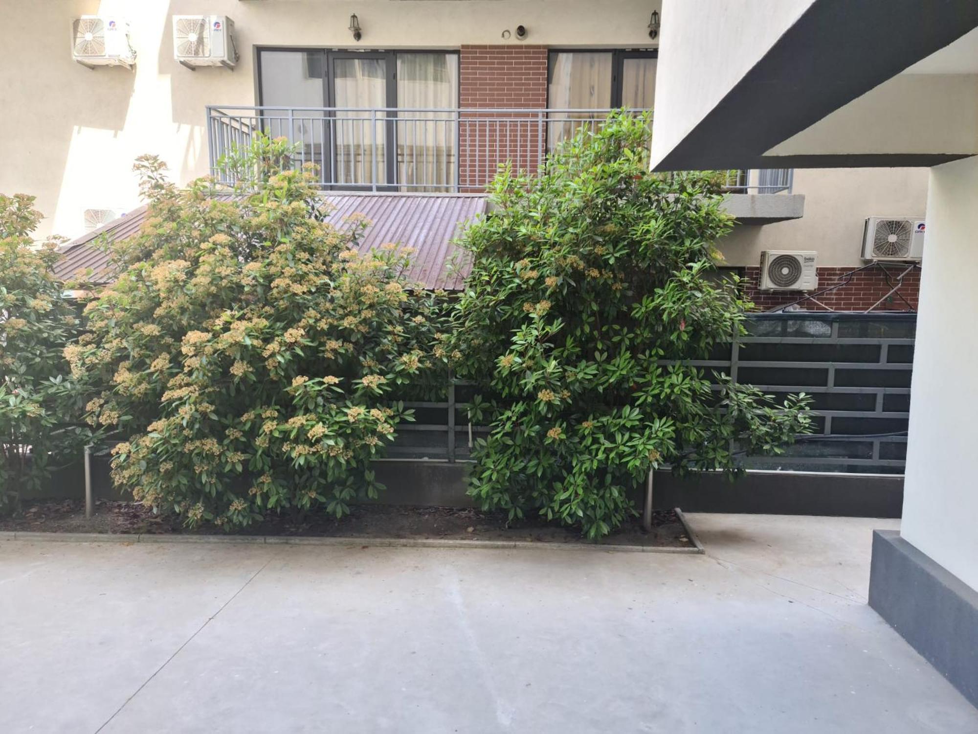 Apartament Deea Năvodari Exterior foto